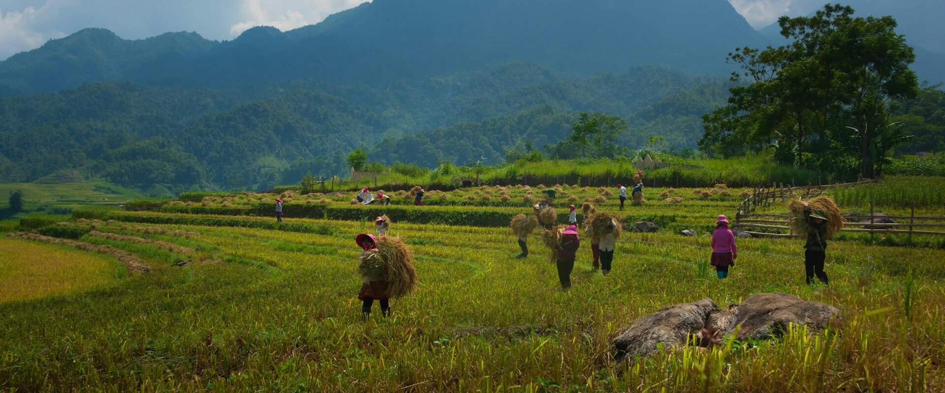 Start your visa-prepared journey with Laos’s vibrant glow